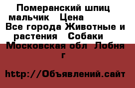 Померанский шпиц, мальчик › Цена ­ 35 000 - Все города Животные и растения » Собаки   . Московская обл.,Лобня г.